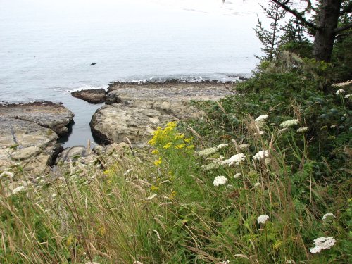 From the cliff